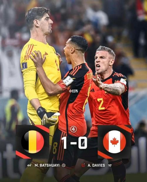 加拿大vs比利时神预测