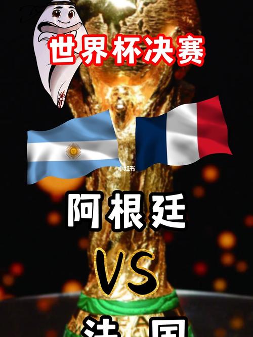 匹克杯日本vs法国