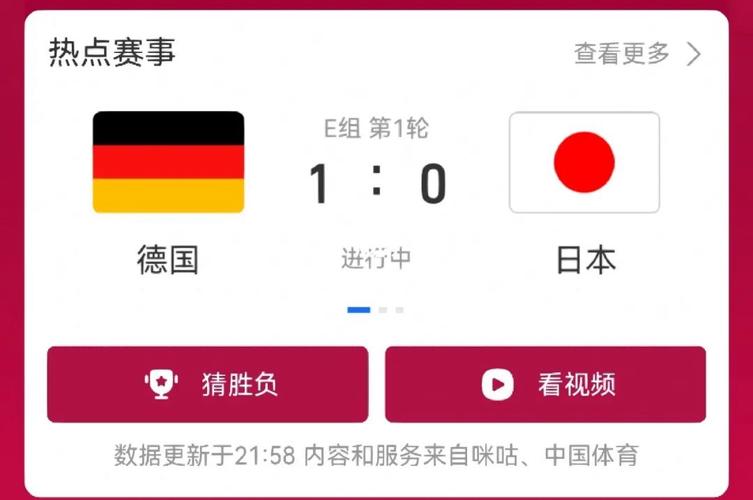 德国vs日本负是啥意思